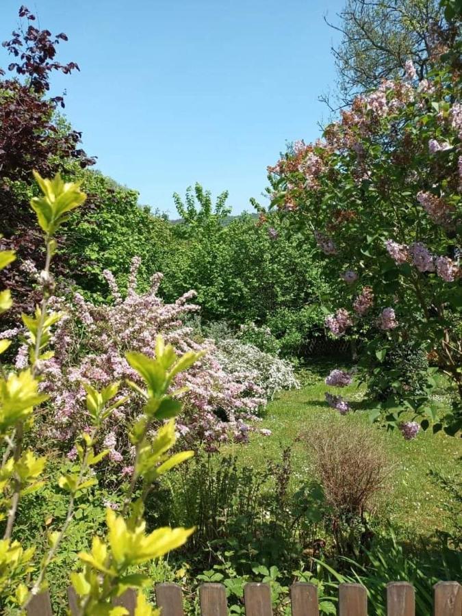 L'Escale Arquaise, La Maison Au Jardin Fleuri A 5 Min De Dieppe Arques-la-Bataille Zewnętrze zdjęcie